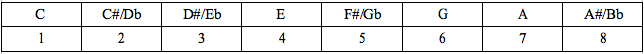 Identifying the notes in the scale